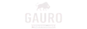 Gauro Pizzas